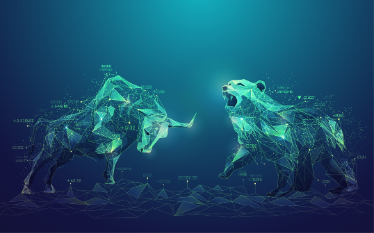 Bull and Bear Market